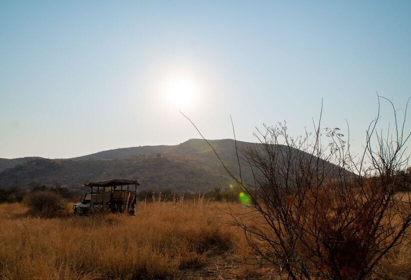 酒店 Bakubung Bush Lodge