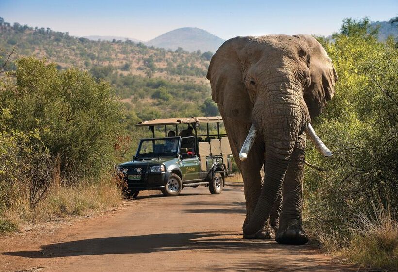 酒店 Bakubung Bush Lodge