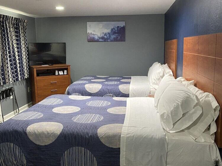 モーテル Dunmore Inn