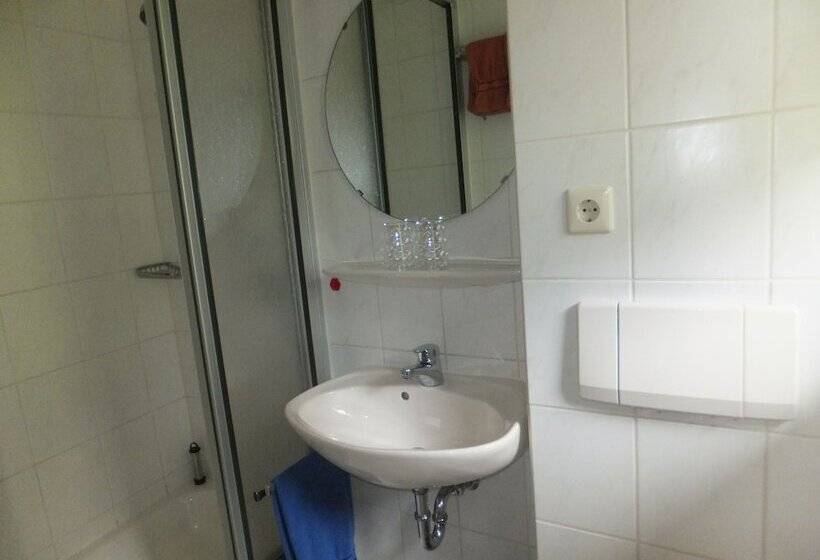 פונדק Gasthof Zum Löwen Enzklösterle