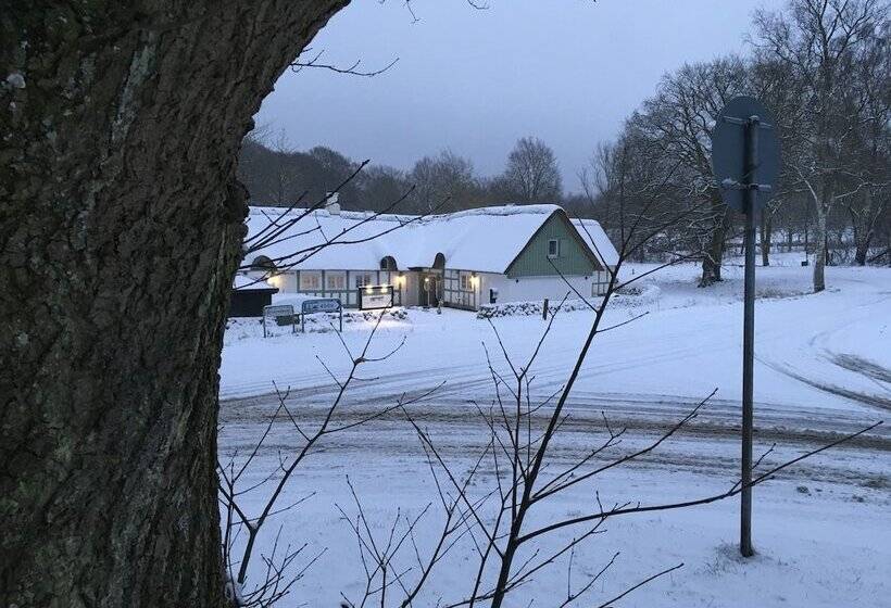 Hørhavegården B&b