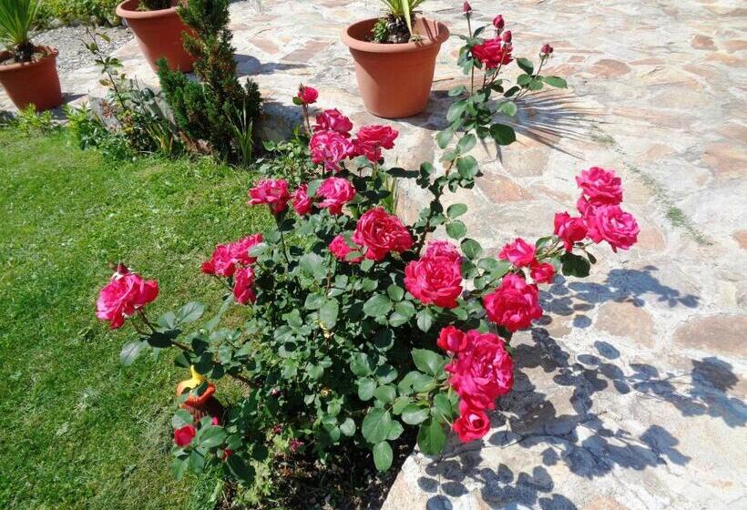 Eagle Rock Holiday Apartments