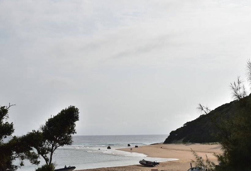 فندق Gamboozini Lodge