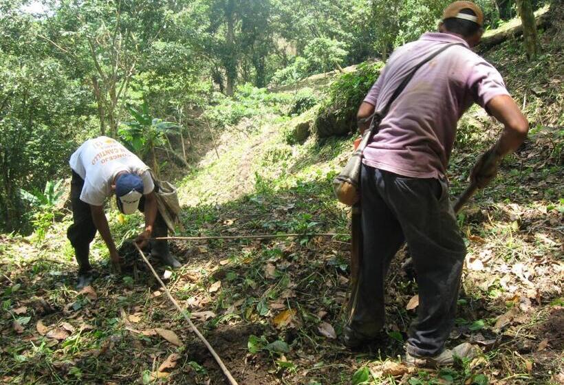 مسافرخانه Finca San Rafael   Cafe Y Cacao