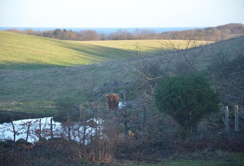 Lehnsgaard Ranch