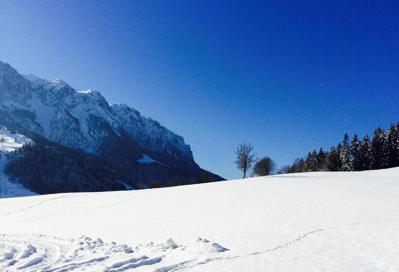 膳宿费 Steindlhof In Walchsee