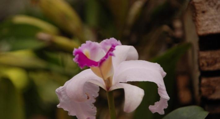 هتل San Agustin Internacional