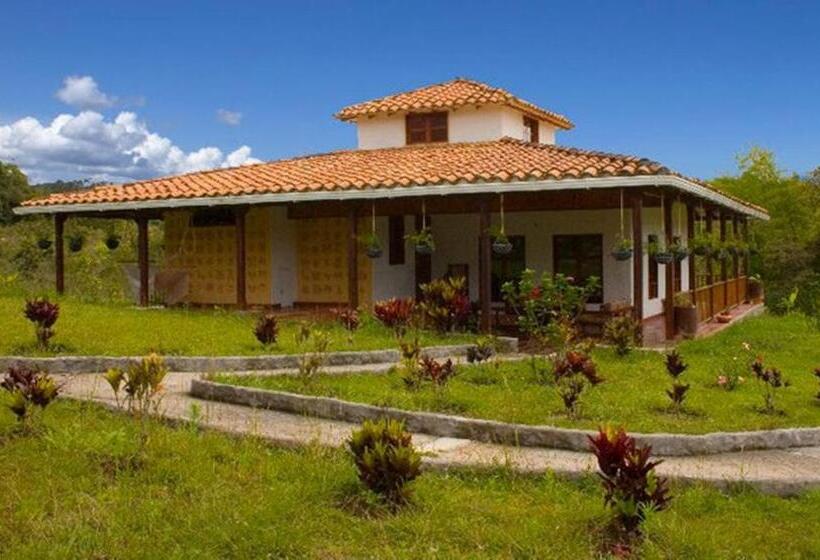 هتل San Agustin Internacional