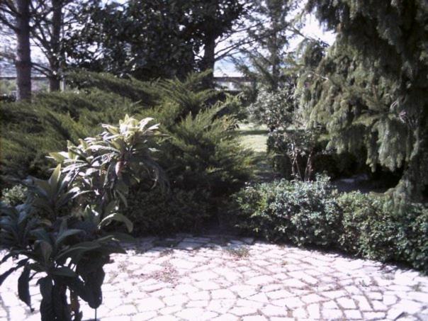 B&b Maggiociondolo