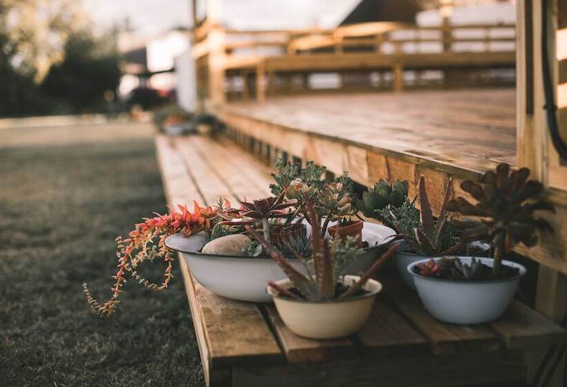 تختخواب و صبحانه Bella Manga Country Escape