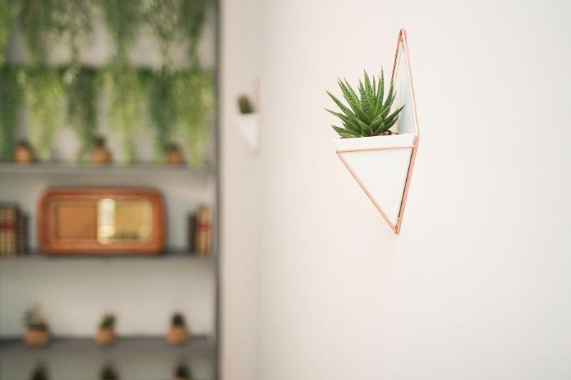 تختخواب و صبحانه Rudiae Boutique