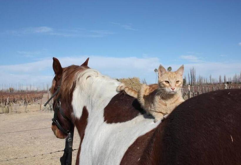 هتل Finca La Carmelita