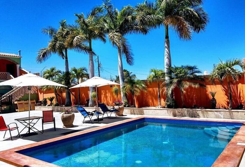 هتل Cactus Inn Los Cabos
