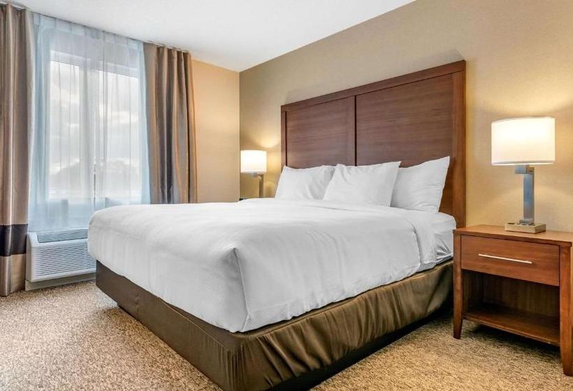 Отель Comfort Inn & Suites