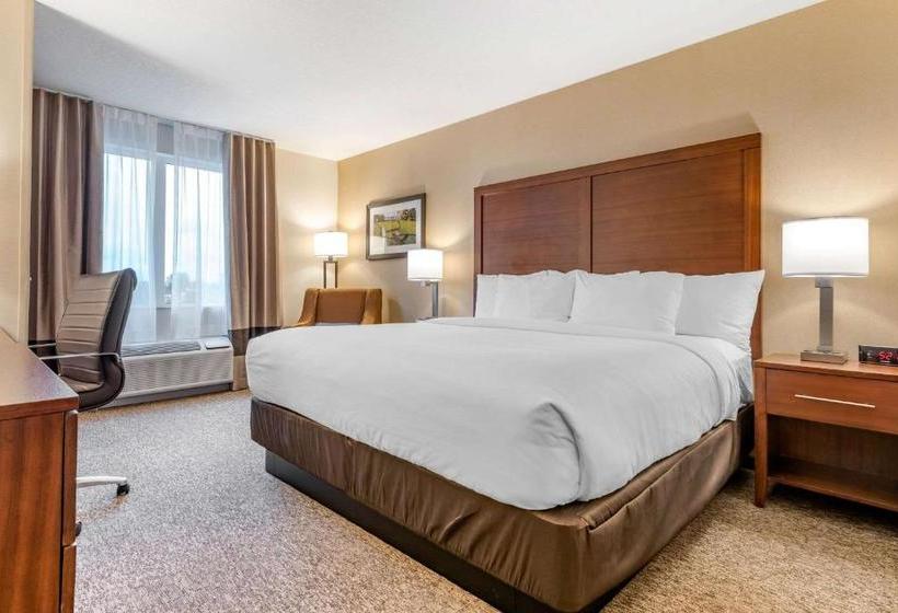 Отель Comfort Inn & Suites