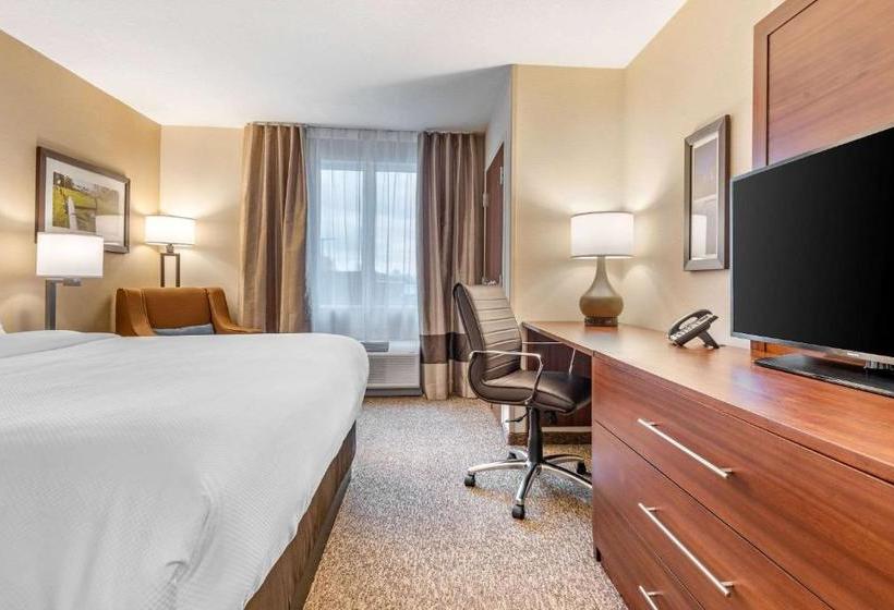 Отель Comfort Inn & Suites