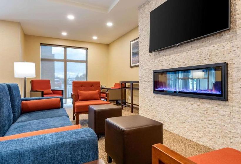 Отель Comfort Inn & Suites