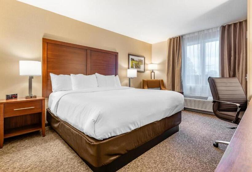 Отель Comfort Inn & Suites