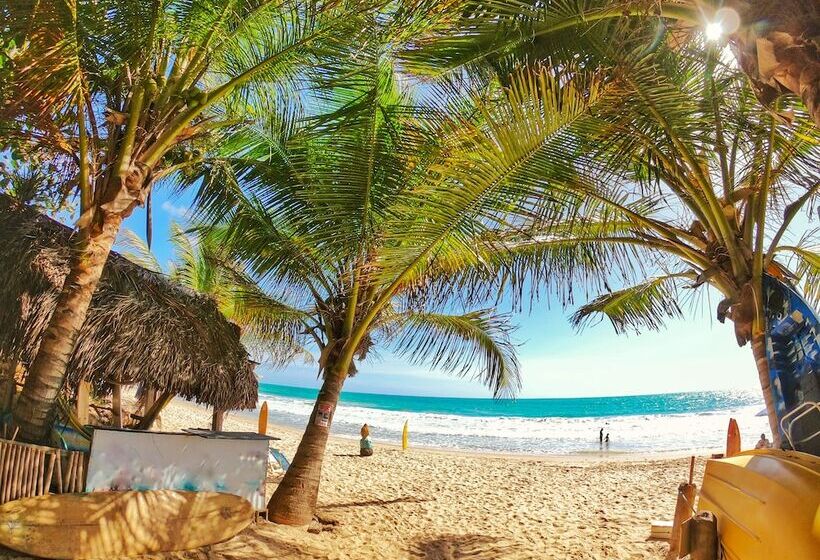 ホテル Pousada Sereia Do Porto