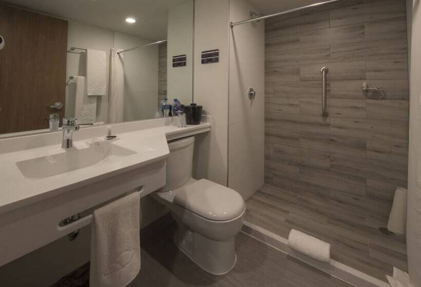 Microtel Inn & Suites By Wyndham Irapuato