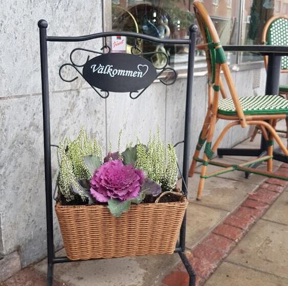 هتل Bishops Arms Mora