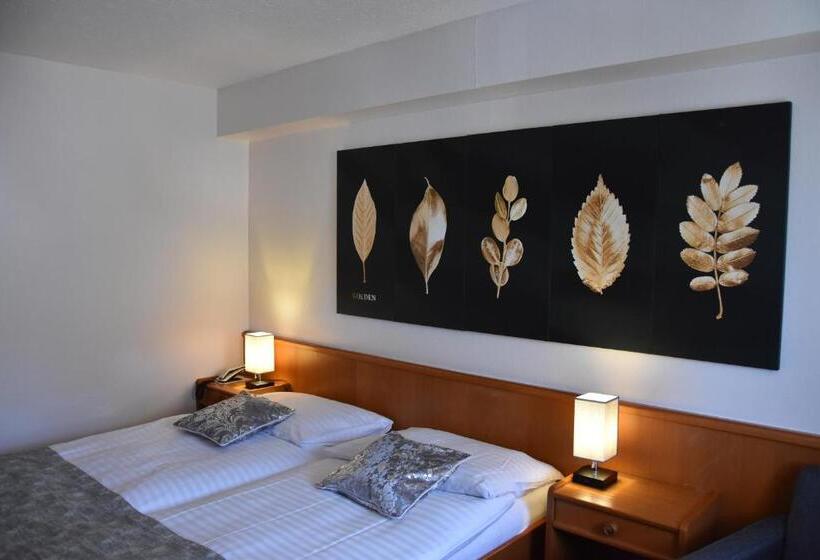 酒店 Hôtel Des Trois Rois