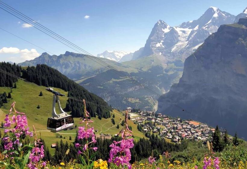 酒店 Jungfrau