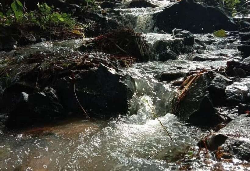 تختخواب و صبحانه Sten Lodge Eco Homestay