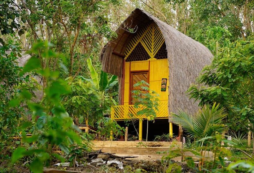 تختخواب و صبحانه Sten Lodge Eco Homestay