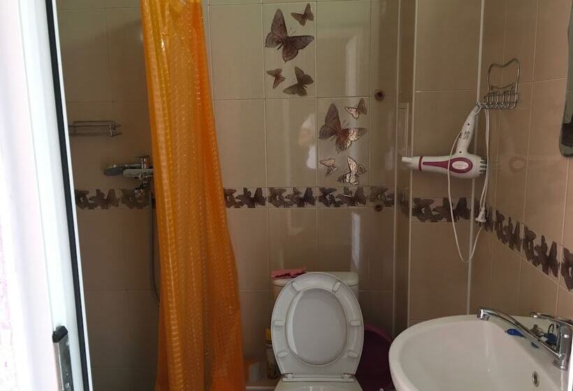 פנסיון Guest House Sterh