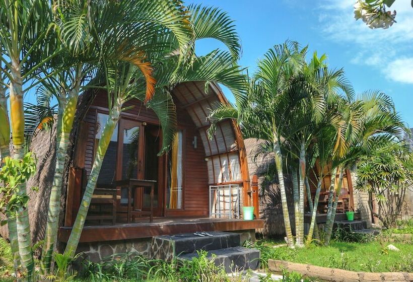 تختخواب و صبحانه Gilipaddy Resort
