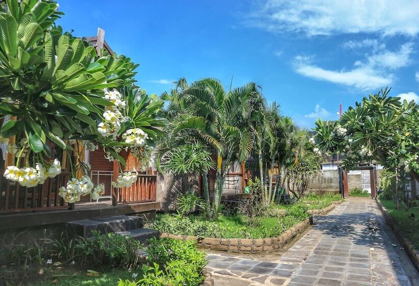 تختخواب و صبحانه Gilipaddy Resort