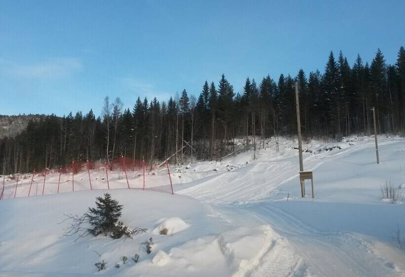 Vrådal Hyttegrend