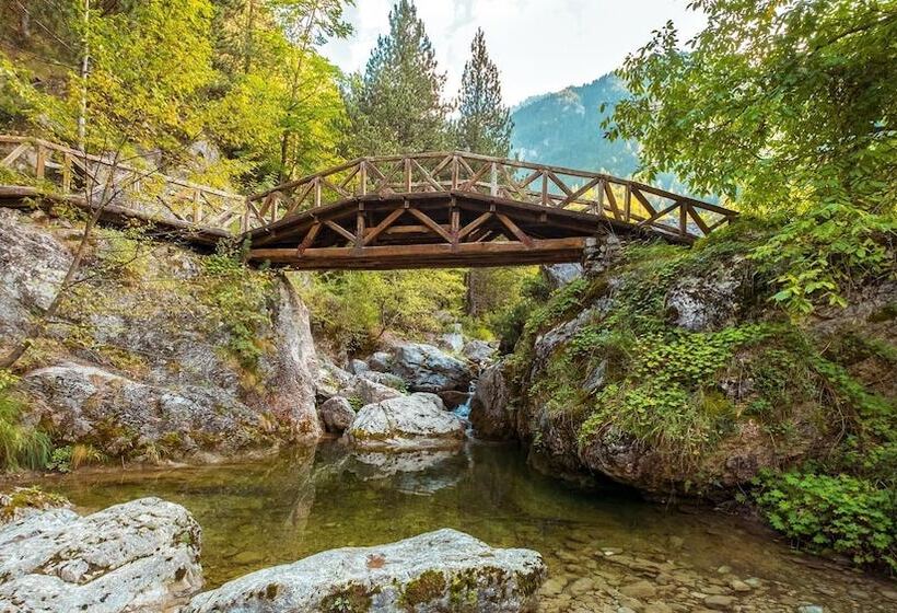 ユースホステル Villa Pigasos