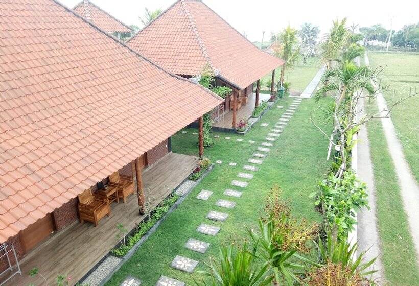 민박 Emir Surfcamp