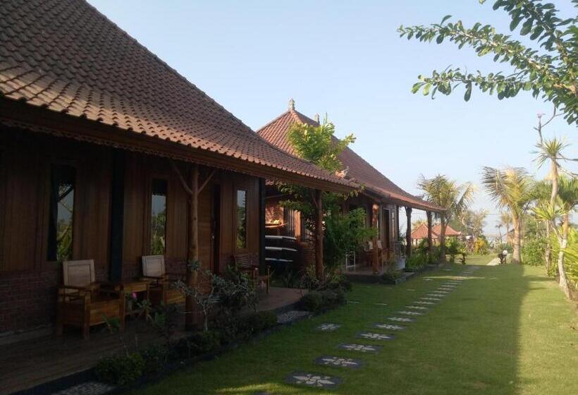 민박 Emir Surfcamp