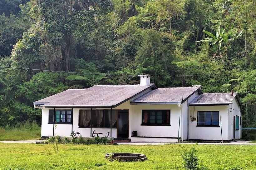 Garden Guest House   Hostel