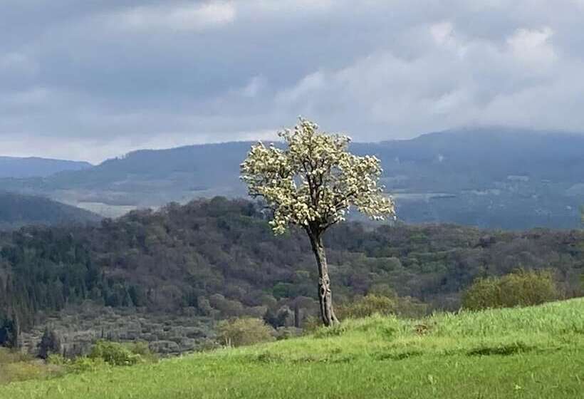 Сельский отель Bio Agriturismo Il Torrione