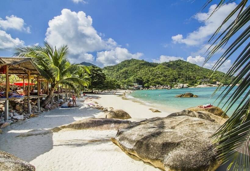 هتل Crystal Bay Yacht Club Beach Resort