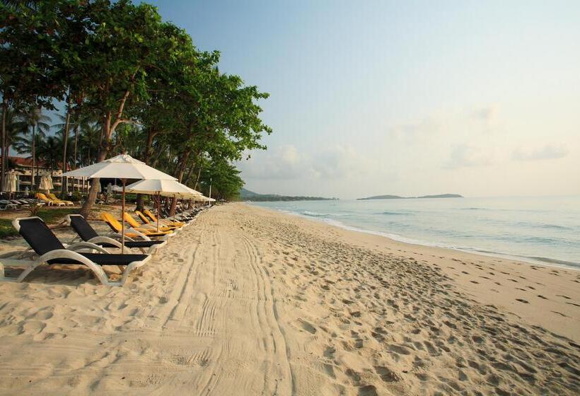 استراحتگاه Centara Reserve Samui