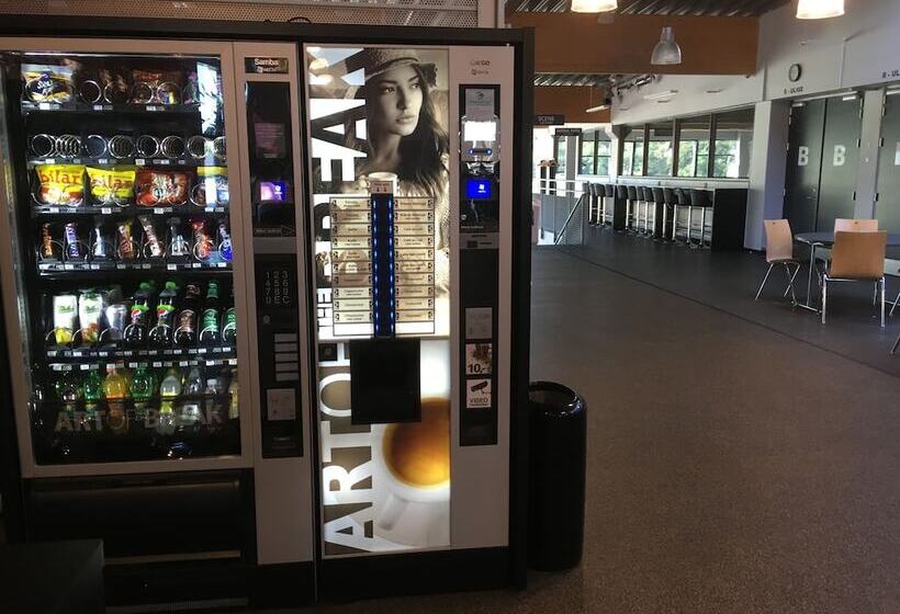 Arena Midt