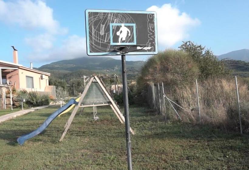 Socrates Organic Village   Wild Olive