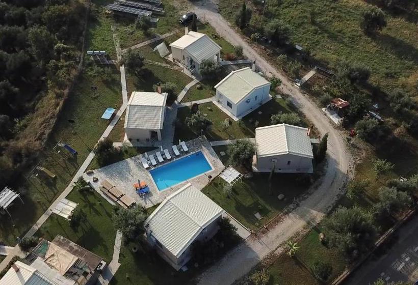 Socrates Organic Village   Wild Olive