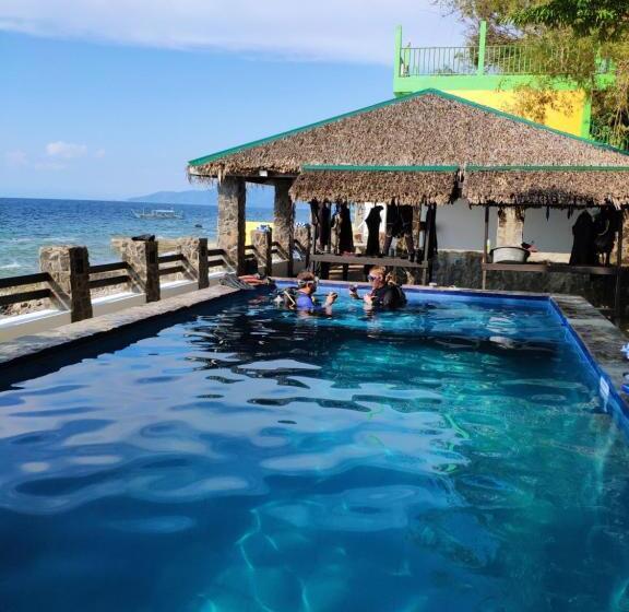 Отель Blue Ribbon Dive Resort