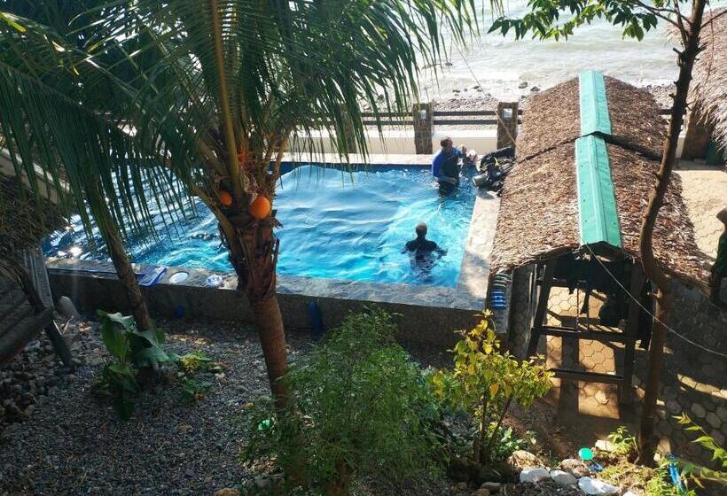 Отель Blue Ribbon Dive Resort