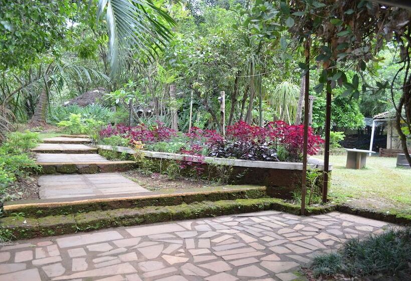 펜션 Mangaal Farmstay Goa
