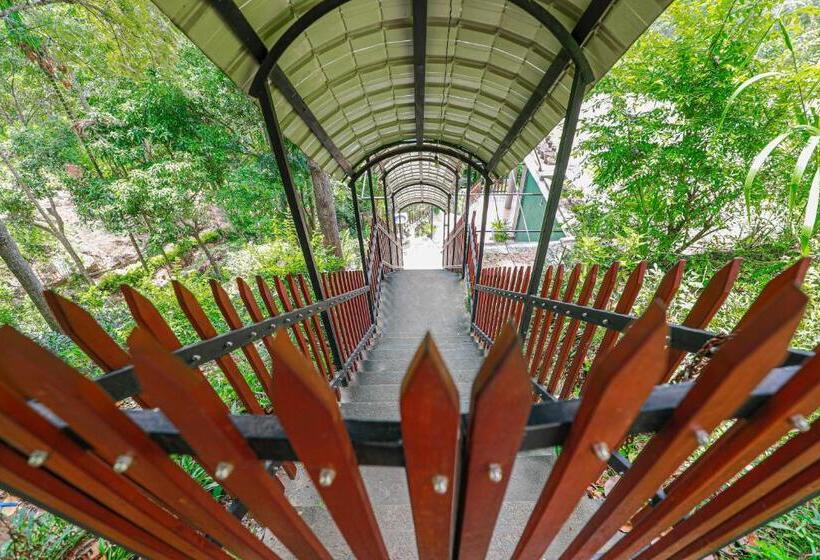 Pensión Zircon Ella