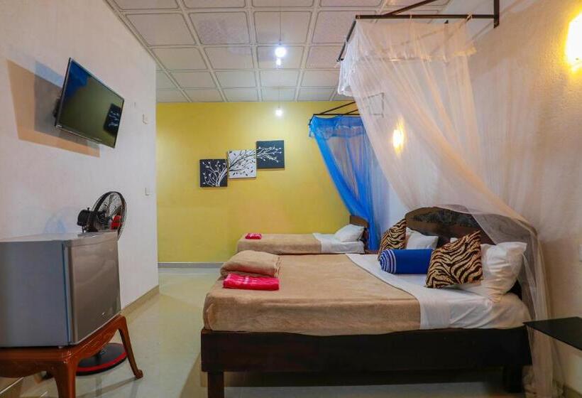 Pensión Zircon Ella