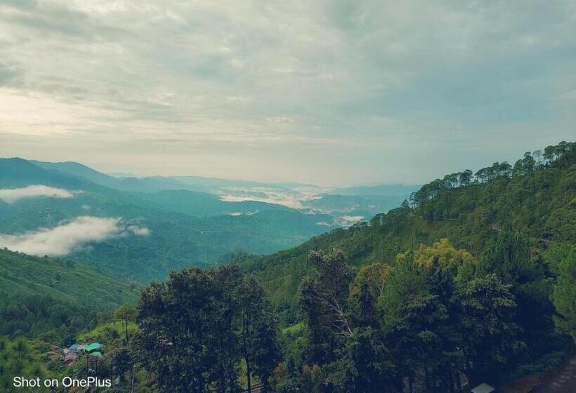 Blue Pine Resort