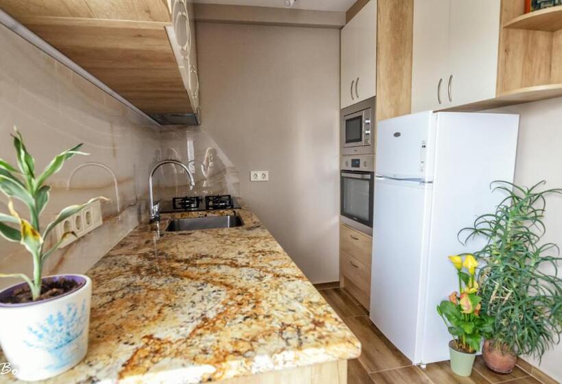 Dom Mladenovi B&b